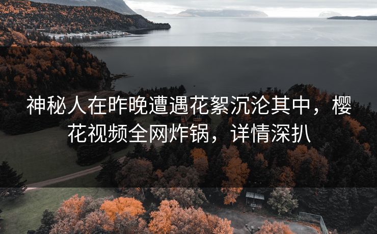 神秘人在昨晚遭遇花絮沉沦其中，樱花视频全网炸锅，详情深扒