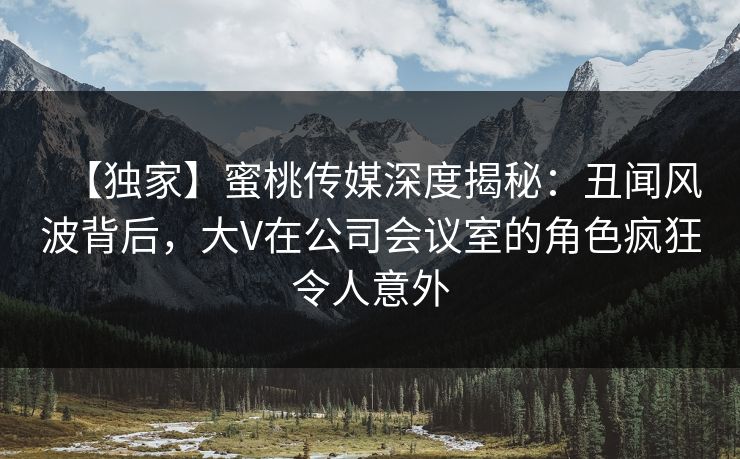 【独家】蜜桃传媒深度揭秘：丑闻风波背后，大V在公司会议室的角色疯狂令人意外