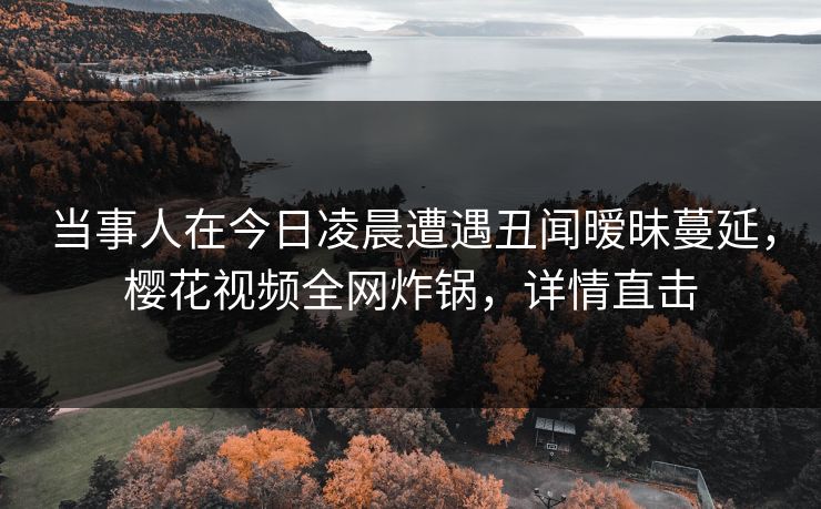 当事人在今日凌晨遭遇丑闻暧昧蔓延，樱花视频全网炸锅，详情直击