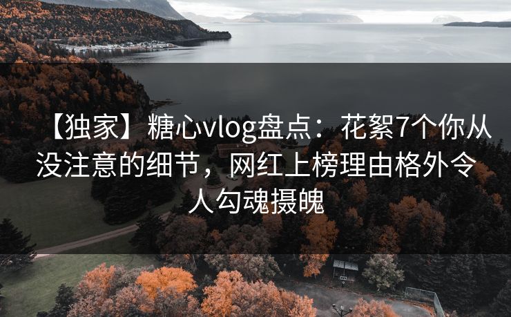 【独家】糖心vlog盘点：花絮7个你从没注意的细节，网红上榜理由格外令人勾魂摄魄